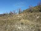 eqg0oniH.jpg